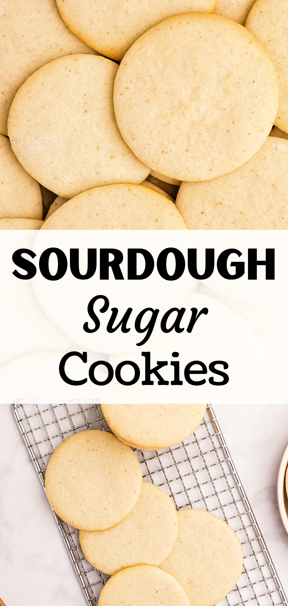 A stack of round sugar cookies, undecorated and plain.