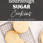 Simple round sugar cookies on a wire cooling rack.