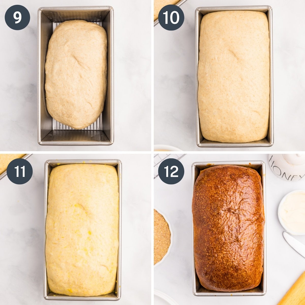 Rising a loaf of sourdough bread in a loaf pan, then baking until golden brown.