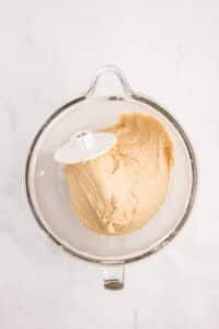 Dough that has been kneaded until elastic in the bowl of a stand mixer.