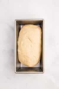 A loaf pan with a shaped bread dough loaf inside.