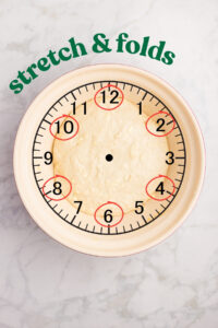 A bowl of sourdough dough with a clock overlay, showing the points of stretching and folding at 12:00, 2:00, 4:00, 6:00, 8:00, and 10:00.